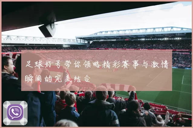 足球好号带你领略精彩赛事与激情瞬间的完美结合
