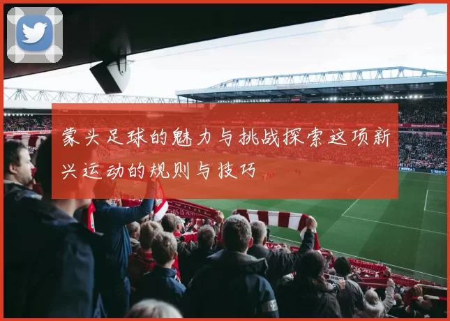 蒙头足球的魅力与挑战探索这项新兴运动的规则与技巧