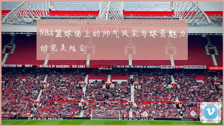 NBA篮球场上的帅气风采与球员魅力的完美结合