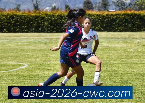 2026世界杯平台生态图